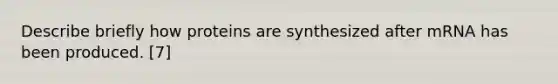 Describe briefly how proteins are synthesized after mRNA has been produced. [7]