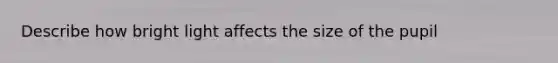 Describe how bright light affects the size of the pupil