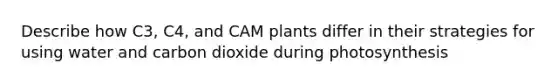 Describe how C3, C4, and CAM plants differ in their strategies for using water and carbon dioxide during photosynthesis