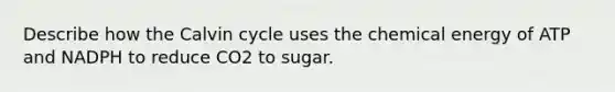 Describe how the Calvin cycle uses the chemical energy of ATP and NADPH to reduce CO2 to sugar.