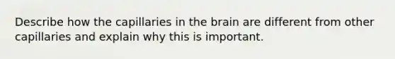 Describe how the capillaries in <a href='https://www.questionai.com/knowledge/kLMtJeqKp6-the-brain' class='anchor-knowledge'>the brain</a> are different from other capillaries and explain why this is important.