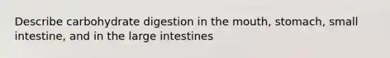 Describe carbohydrate digestion in the mouth, stomach, small intestine, and in the large intestines