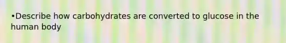 •Describe how carbohydrates are converted to glucose in the human body