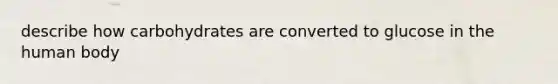 describe how carbohydrates are converted to glucose in the human body