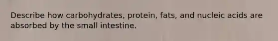 Describe how carbohydrates, protein, fats, and nucleic acids are absorbed by the small intestine.