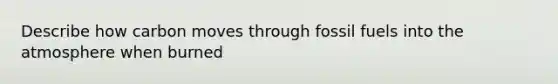 Describe how carbon moves through fossil fuels into the atmosphere when burned