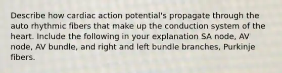 Describe how cardiac action potential's propagate through the auto rhythmic fibers that make up the conduction system of the heart. Include the following in your explanation SA node, AV node, AV bundle, and right and left bundle branches, Purkinje fibers.