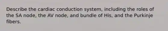 Describe the cardiac conduction system, including the roles of the SA node, the AV node, and bundle of His, and the Purkinje fibers.