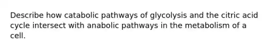 Describe how catabolic pathways of glycolysis and the citric acid cycle intersect with anabolic pathways in the metabolism of a cell.