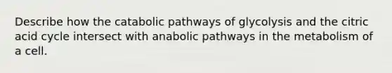 Describe how the catabolic pathways of glycolysis and the citric acid cycle intersect with anabolic pathways in the metabolism of a cell.