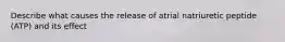 Describe what causes the release of atrial natriuretic peptide (ATP) and its effect