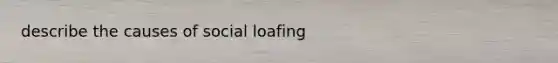 describe the causes of social loafing