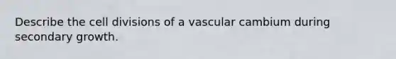 Describe the cell divisions of a vascular cambium during secondary growth.