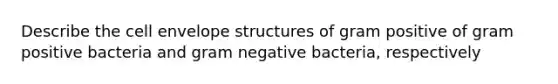 Describe the cell envelope structures of gram positive of gram positive bacteria and gram negative bacteria, respectively