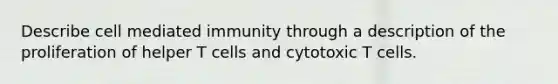 Describe cell mediated immunity through a description of the proliferation of helper T cells and cytotoxic T cells.