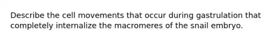 Describe the cell movements that occur during gastrulation that completely internalize the macromeres of the snail embryo.