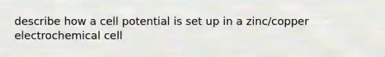 describe how a cell potential is set up in a zinc/copper electrochemical cell