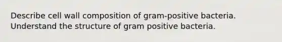 Describe cell wall composition of gram-positive bacteria. Understand the structure of gram positive bacteria.