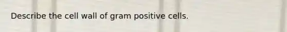 Describe the cell wall of gram positive cells.