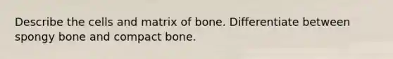 Describe the cells and matrix of bone. Differentiate between spongy bone and compact bone.