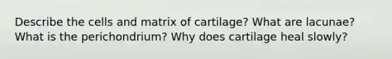 Describe the cells and matrix of cartilage? What are lacunae? What is the perichondrium? Why does cartilage heal slowly?