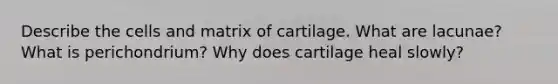 Describe the cells and matrix of cartilage. What are lacunae? What is perichondrium? Why does cartilage heal slowly?