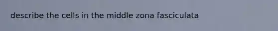 describe the cells in the middle zona fasciculata