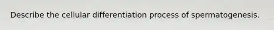 Describe the cellular differentiation process of spermatogenesis.