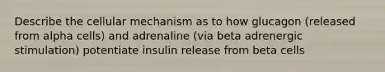 Describe the cellular mechanism as to how glucagon (released from alpha cells) and adrenaline (via beta adrenergic stimulation) potentiate insulin release from beta cells