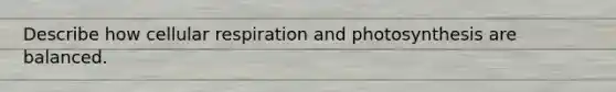 Describe how cellular respiration and photosynthesis are balanced.