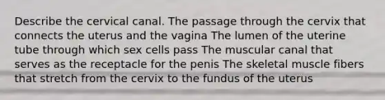 Describe the cervical canal. The passage through the cervix that connects the uterus and the vagina The lumen of the uterine tube through which sex cells pass The muscular canal that serves as the receptacle for the penis The skeletal muscle fibers that stretch from the cervix to the fundus of the uterus