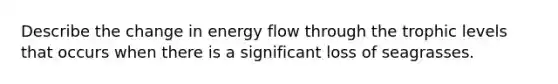 Describe the change in energy flow through the <a href='https://www.questionai.com/knowledge/k3OtRh2eOm-trophic-level' class='anchor-knowledge'>trophic level</a>s that occurs when there is a significant loss of seagrasses.