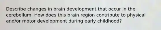 Describe changes in brain development that occur in the cerebellum. How does this brain region contribute to physical and/or motor development during early childhood?