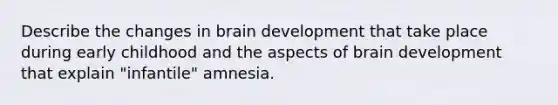 Describe the changes in brain development that take place during early childhood and the aspects of brain development that explain "infantile" amnesia.