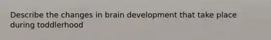 Describe the changes in brain development that take place during toddlerhood