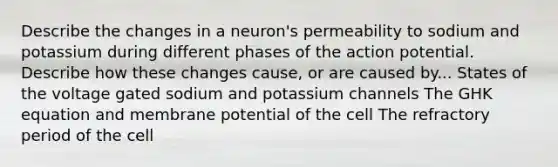 Describe the changes in a neuron's permeability to sodium and potassium during different phases of the action potential. Describe how these changes cause, or are caused by... States of the voltage gated sodium and potassium channels The GHK equation and membrane potential of the cell The refractory period of the cell