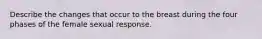 Describe the changes that occur to the breast during the four phases of the female sexual response.