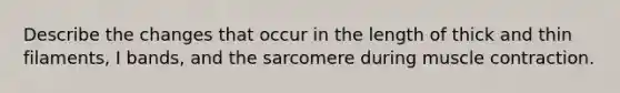 Describe the changes that occur in the length of thick and thin filaments, I bands, and the sarcomere during <a href='https://www.questionai.com/knowledge/k0LBwLeEer-muscle-contraction' class='anchor-knowledge'>muscle contraction</a>.