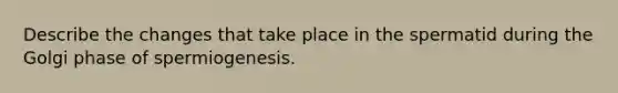 Describe the changes that take place in the spermatid during the Golgi phase of spermiogenesis.