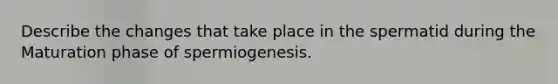 Describe the changes that take place in the spermatid during the Maturation phase of spermiogenesis.