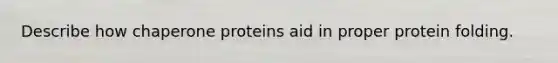 Describe how chaperone proteins aid in proper protein folding.