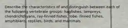 Describe the characteristics of and distinguish between each of the following vertebrate groups: hagfishes, lampreys, chondrichthyans, ray-finned fishes, lobe- finned fishes, amphibians, reptiles, birds, and mammals