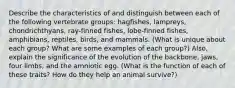 Describe the characteristics of and distinguish between each of the following vertebrate groups: hagfishes, lampreys, chondrichthyans, ray-finned fishes, lobe-finned fishes, amphibians, reptiles, birds, and mammals. (What is unique about each group? What are some examples of each group?) Also, explain the significance of the evolution of the backbone, jaws, four limbs, and the amniotic egg. (What is the function of each of these traits? How do they help an animal survive?)