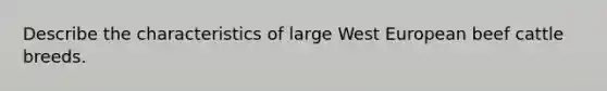 Describe the characteristics of large West European beef cattle breeds.