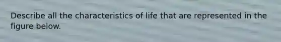 Describe all the characteristics of life that are represented in the figure below.