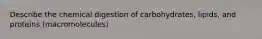 Describe the chemical digestion of carbohydrates, lipids, and proteins (macromolecules)