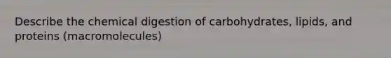 Describe the chemical digestion of carbohydrates, lipids, and proteins (macromolecules)