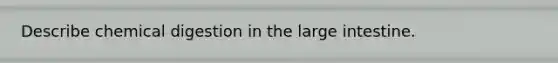 Describe chemical digestion in the <a href='https://www.questionai.com/knowledge/kGQjby07OK-large-intestine' class='anchor-knowledge'>large intestine</a>.