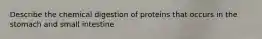 Describe the chemical digestion of proteins that occurs in the stomach and small intestine