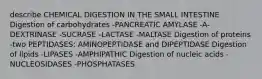 describe CHEMICAL DIGESTION IN THE SMALL INTESTINE Digestion of carbohydrates -PANCREATIC AMYLASE -A-DEXTRINASE -SUCRASE -LACTASE -MALTASE Digestion of proteins -two PEPTIDASES: AMINOPEPTIDASE and DIPEPTIDASE Digestion of lipids -LIPASES -AMPHIPATHIC Digestion of nucleic acids -NUCLEOSIDASES -PHOSPHATASES